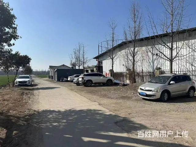 （城市在线找房免费）红星美凯龙北煤港路附近厂房出租 - 图片 2