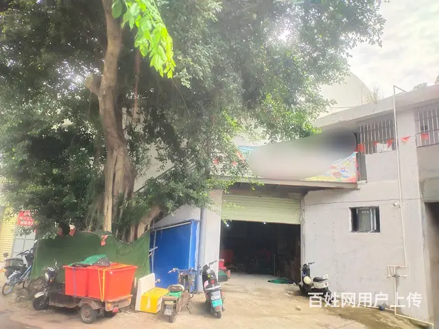 （51旺铺推荐）美兰区白沙门小学旁750篮球馆转让 - 图片 1