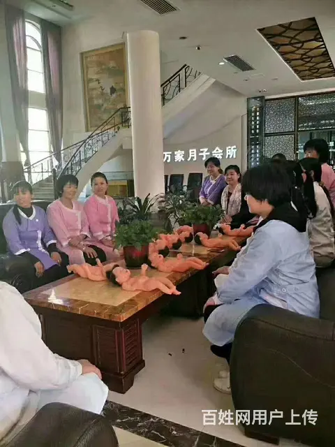 月嫂、育婴师、高管、管家、保镖、厨师、保姆、护工 - 图片 8