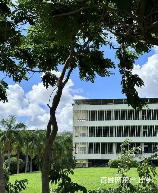 （51旺铺推荐）三亚城市职业学院档口招商 - 图片 8