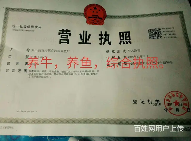 找个知心过曰子的老伴 - 图片 2