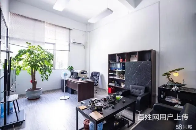 岛内厂房loft空间办公仓储摄影棚展厅直播间空间出租 - 图片 4