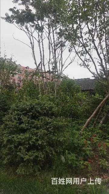 鸡西上门做系统打印机加粉维修 - 图片