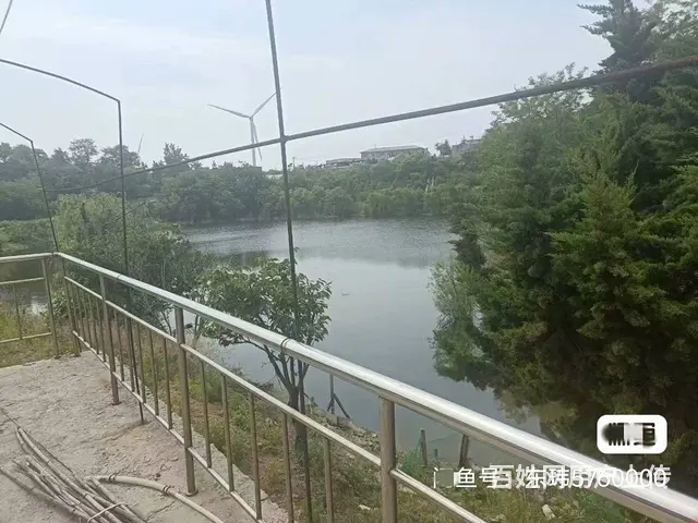 转让温泉镇内承包水库➕住宅平房 - 图片 7