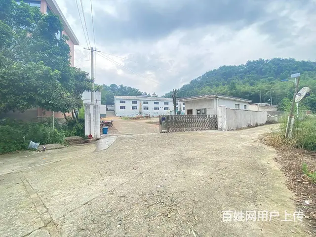 (房东直租)白若铺319国道旁4200平园区厂房出租，可分租 - 图片 2