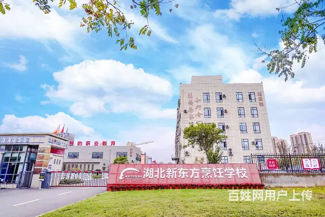 初中毕业学什么技术好，推荐学厨师 - 图片 1