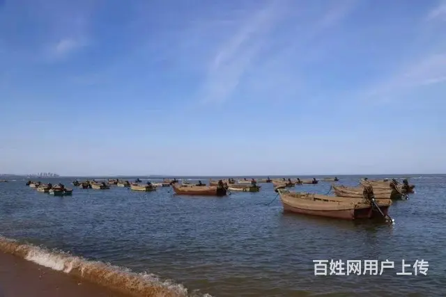 荣成海世界 拥抱碧海蓝天 - 图片 7
