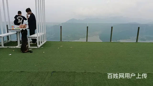 一起牵手到老 - 图片