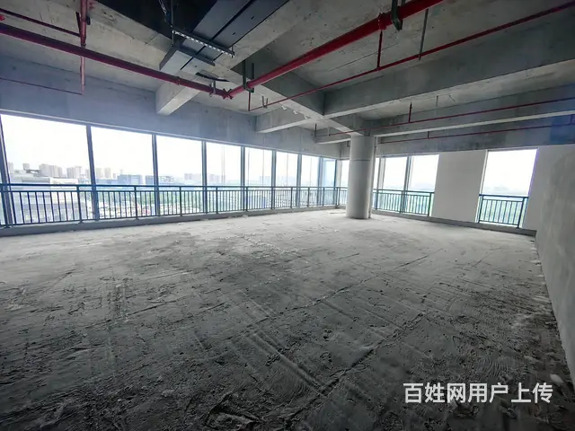 金融集聚区看大龙湖全景的1000平整层纯办公楼 - 图片 3