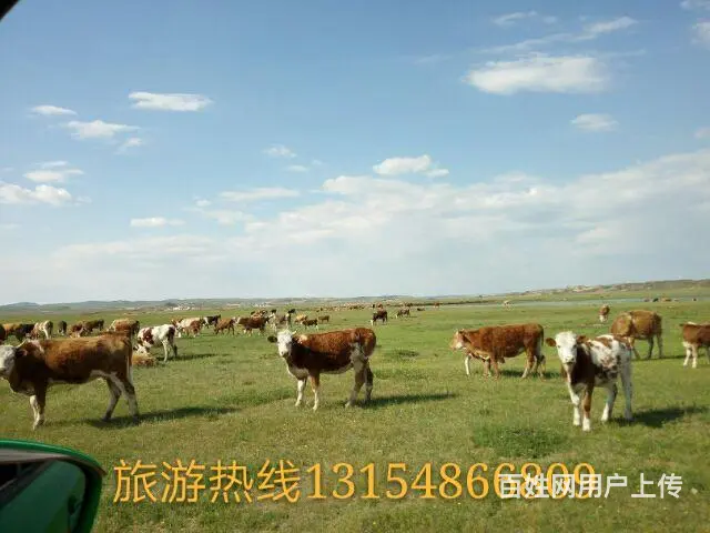 克旗包车 - 图片 3