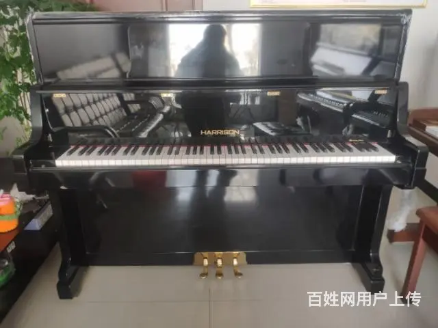 琴行倒闭所有钢琴超低价处理 - 图片 9