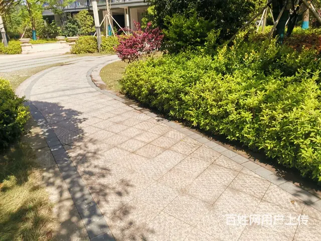 绝版好环境公园中的好房 - 图片 3