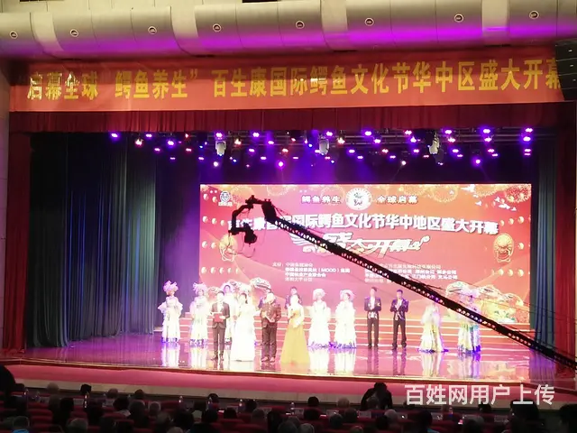 大鼓舞狮舞蹈魔术小丑变脸二人转小提琴戏曲洛阳本地演 - 图片 1