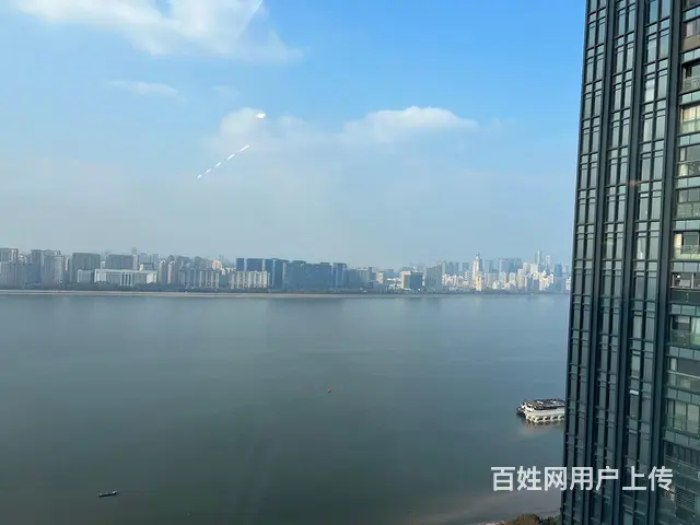 信雅达国际 一线江景 精装修带家具 高区不限业态 - 图片 5