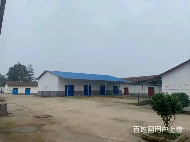 （老板本人）浏阳6500平方独门独院厂房低价出租（房东直租） - 图片 2