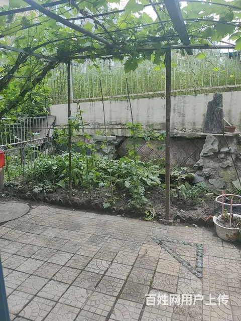 商住两用 - 图片 3