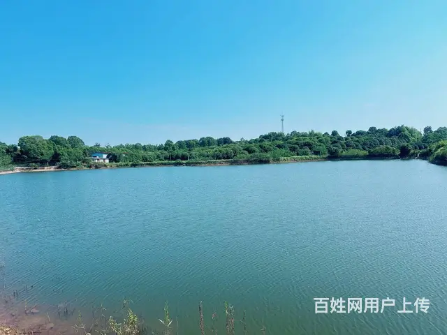 （老板本人）黄花镇长龙街道独门独院房屋厂房农家乐招租6844 - 图片 10