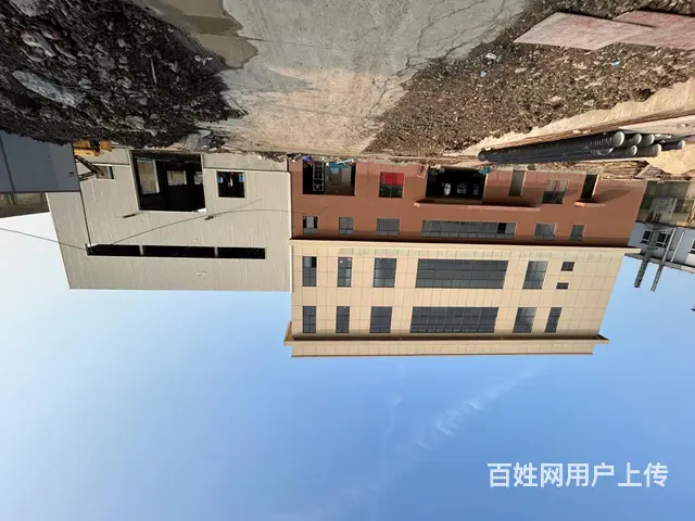 太仓新建厂房出租厂房（独门独院层高跨度大） - 图片 2