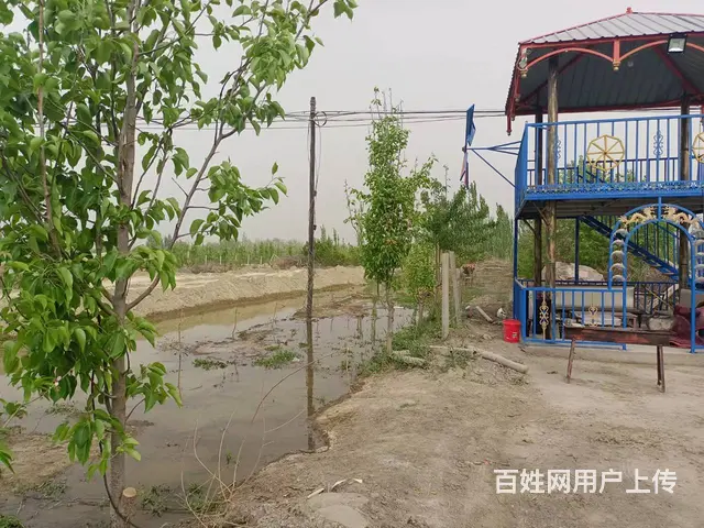 B个人一哈拉玉宫风情园对外出售，或出租 - 图片 11