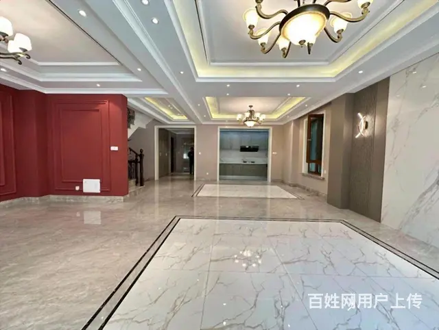 捡漏外滩   1带2层 下叠 共四层 带车位 赠花园 - 图片 10