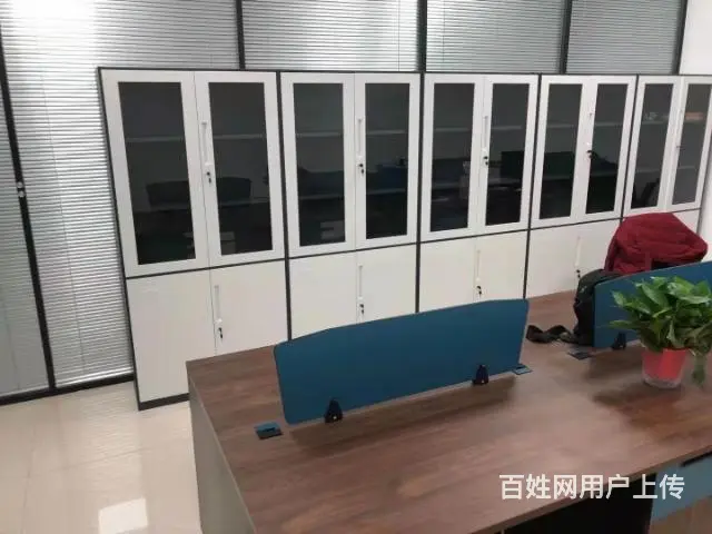 文件柜，更衣柜，资料柜，档案柜，铁皮柜 - 图片 4