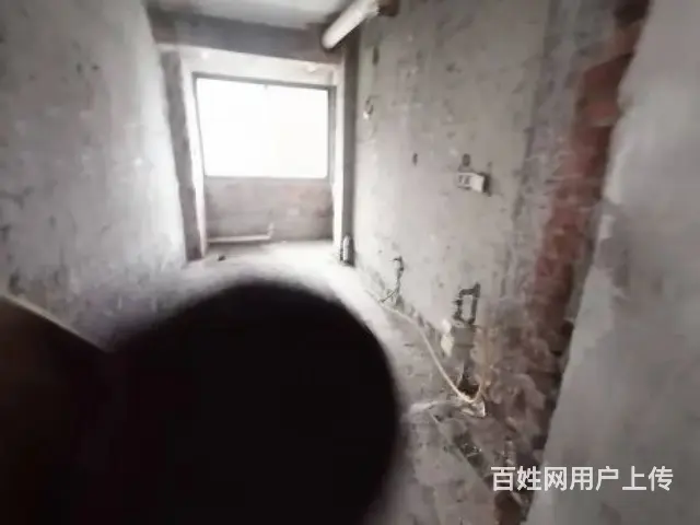 美林湖旁香树湾名苑复试 楼上楼下露台 空中花园 葡萄园 菜园 - 图片 11