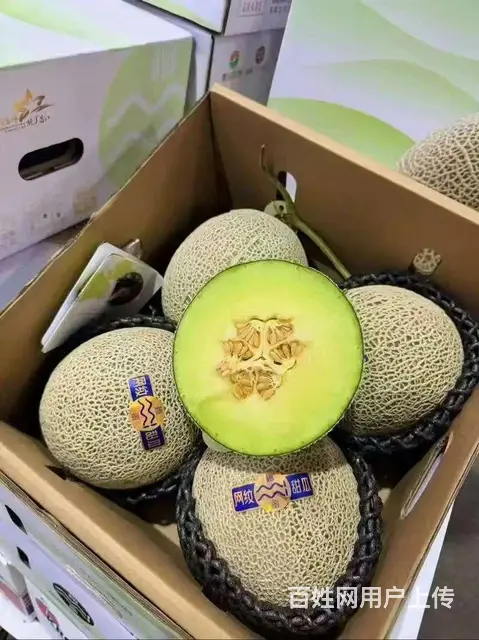 水果批发市场配送全成都酒店 食堂 单位新鲜水果上门 - 图片 7