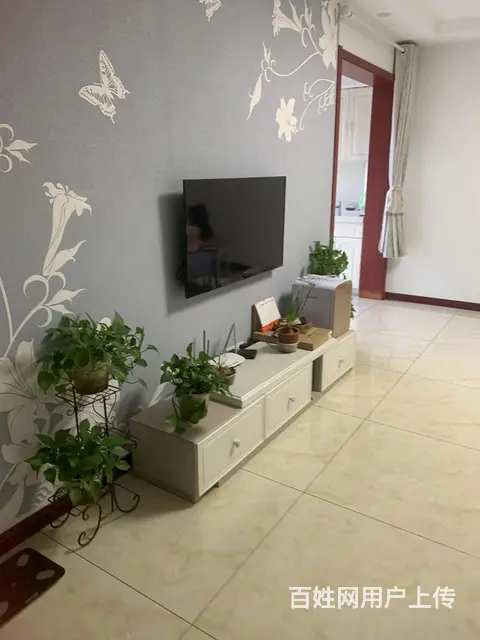 吾悦广场旁边德蚨家园精装二室二厅南向好房出租了 - 图片 2