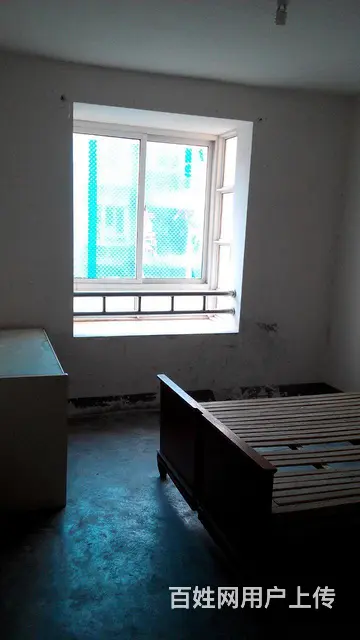 一手房东，无中介费 - 图片 1