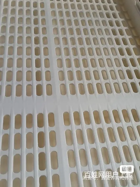 高档笼子，加密款式，什么都可以养的，85厘米长，5 - 图片 1