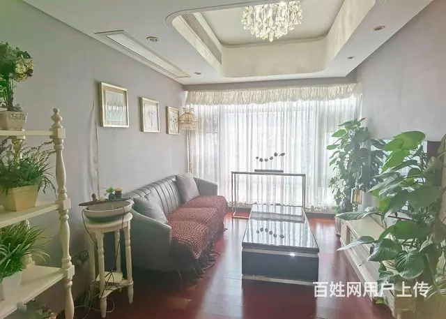 拱北港珠澳大桥附近 中信红树湾 复式四房 豪装 拎包入住 - 图片 10