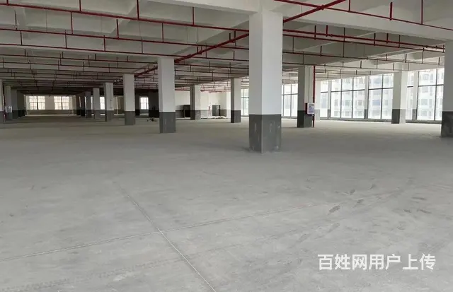 D9 I50 606 366 59晋江经济开发区厂房出租 - 图片 3