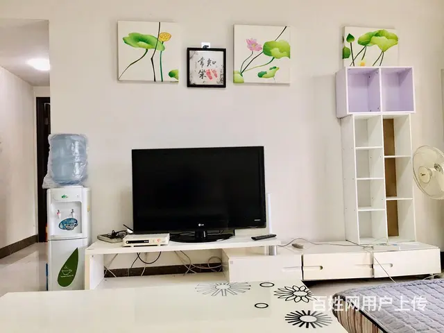 白天鹅花园二期 2房精装 一朵花深种心上 谁来着常 - 图片 3