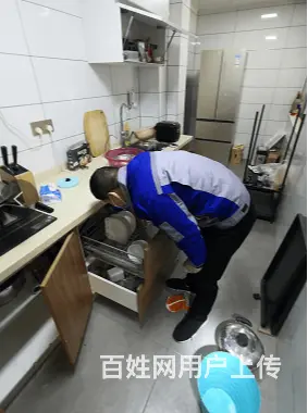 商丘除四害费用商丘绿佳环保 - 图片 2