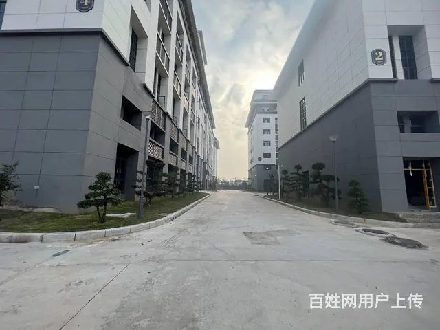 自有全新园区招租 单层独栋 多面积段 业态不限 欢迎咨询看房 - 图片 1