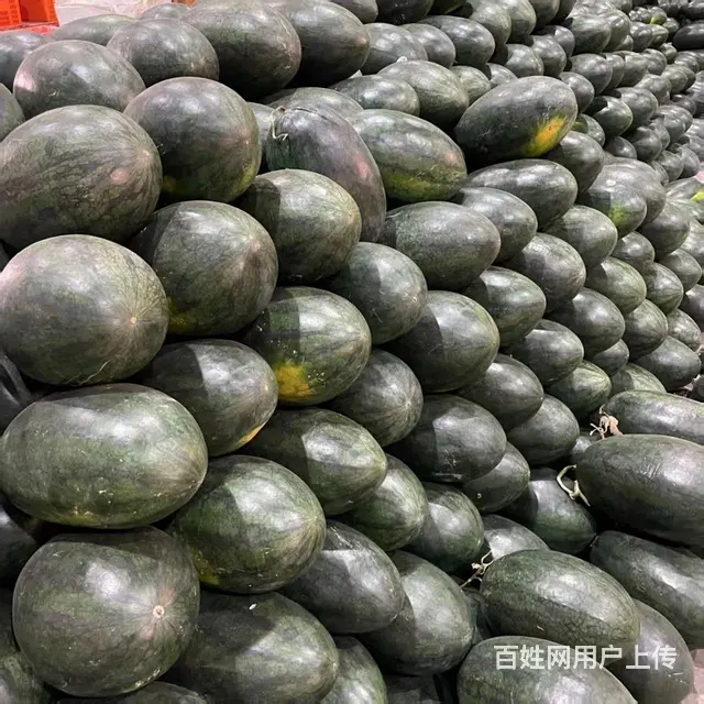水果供应商成都水果批发市场配送餐饮酒吧KTV酒店食 - 图片 9
