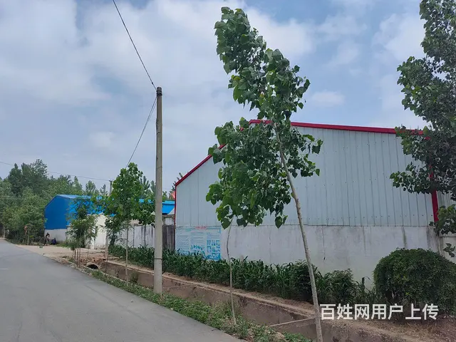 临沭县青云镇钢结构厂房出租 - 图片 9
