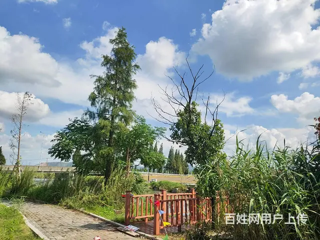 绍兴上虞防腐木塑木地板塑木护栏建造公司 - 图片 6