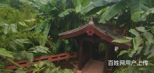 拼车旅行 - 图片 2