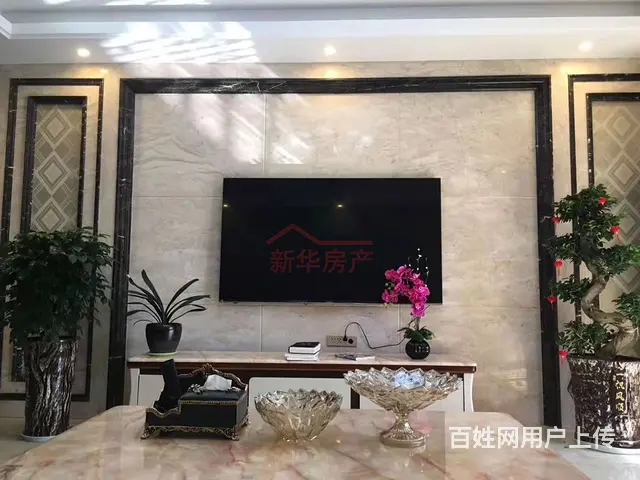 桃花源精装套房急售 - 图片 2