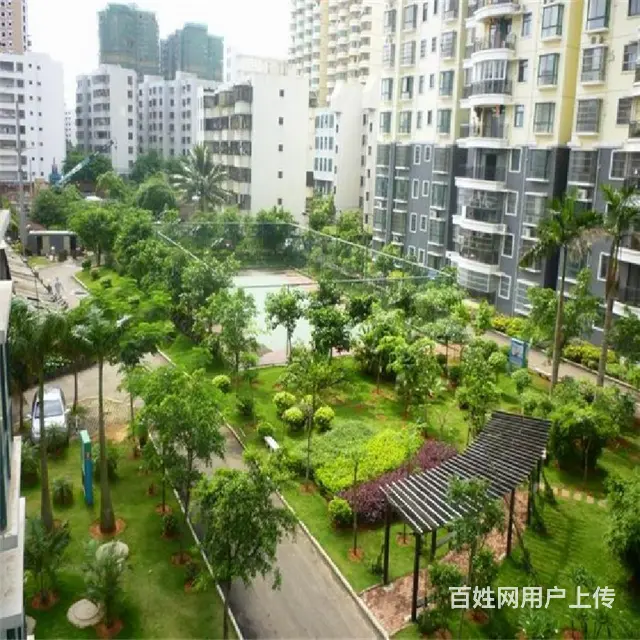 轻轨东站对面  华荣府2房毛坯房朝南 - 图片 10