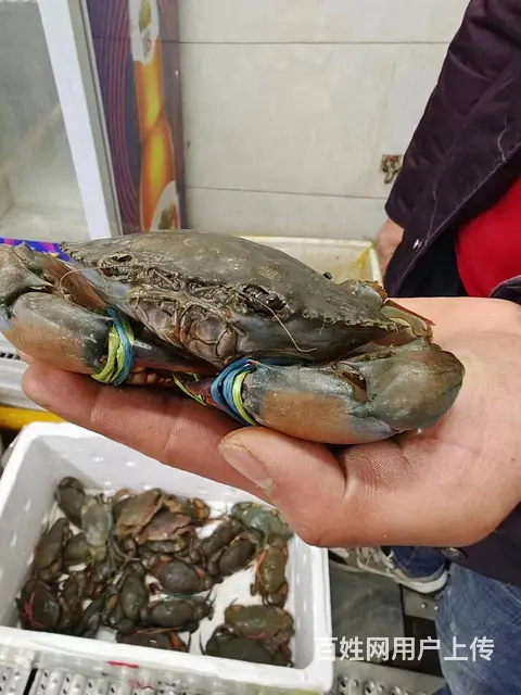 （速转店）邵东市临街餐饮店转让  上下两层  全新豪华装修 - 图片 10