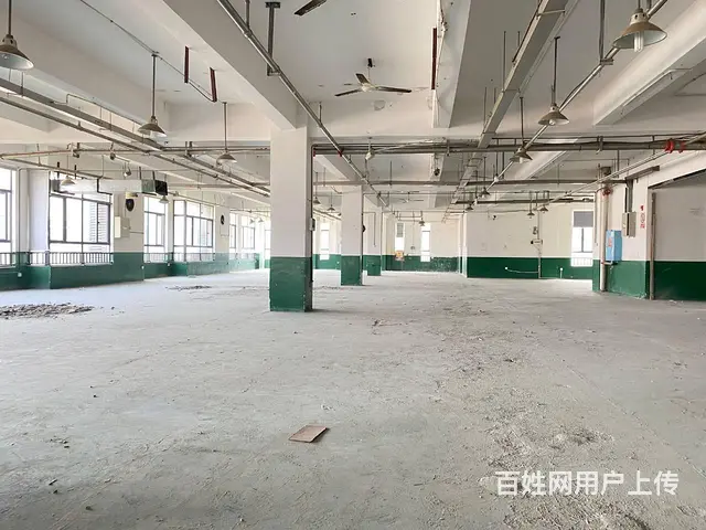 （房东直租）星沙中部智谷440一900平厂房出租，可分租 - 图片 5