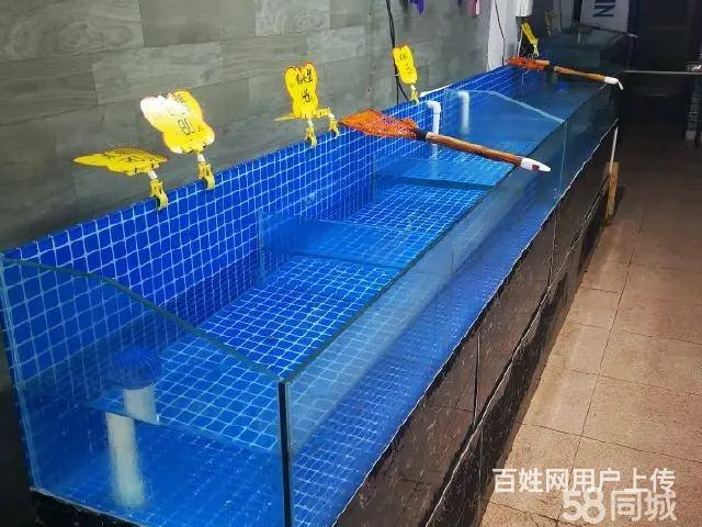 急转！锦州市古塔区西安街水产批发市场-北门76平水产店 - 图片 3