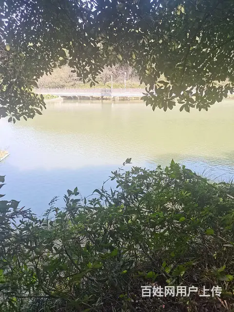 征婚 - 图片