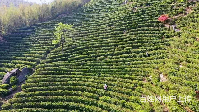 长沙年会去哪里？看零点团建黑麋峰年会 - 图片 6
