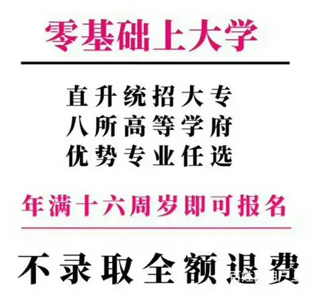 职业资格证书 - 图片 4