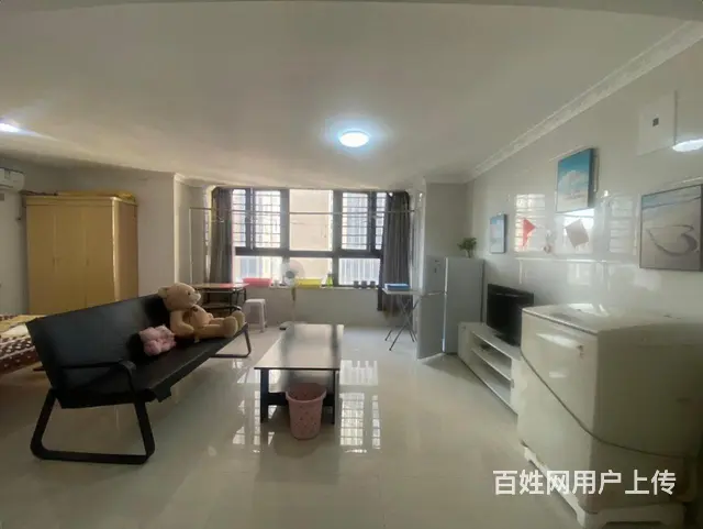 中骏旁 3米大窗户  独门  公寓 采光好 - 图片 5