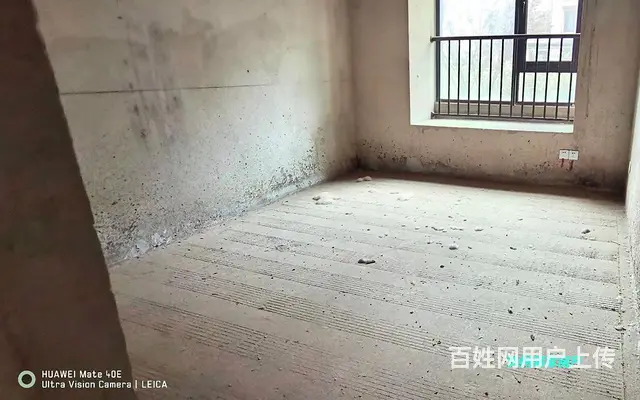 家主急售 亲老表家的房子 有事转卖 价格好谈 南北通透采光好 - 图片 12