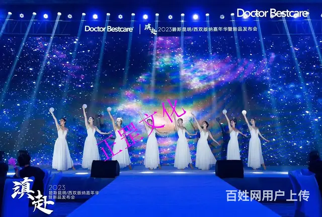 企业年会、车展、会议会展、音乐节、搭建执行、演出 - 图片 11